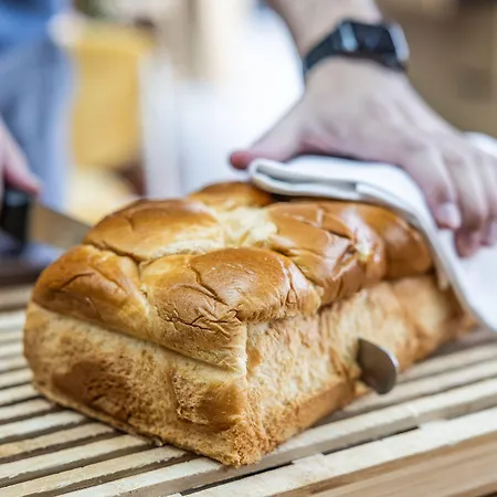 Parc Du Landreau Les Herbiers