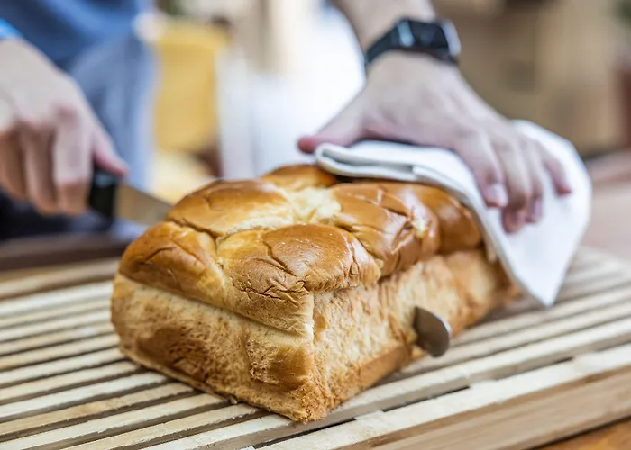 Parc Du Landreau Les Herbiers